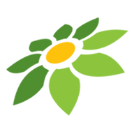 MONET YOUTUBE